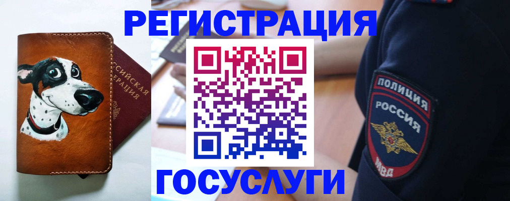 временная регистрация в квартире в Бронницах